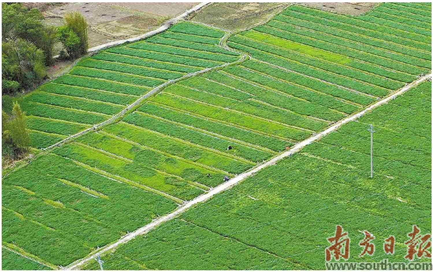 “三地活化” 振兴瑶乡